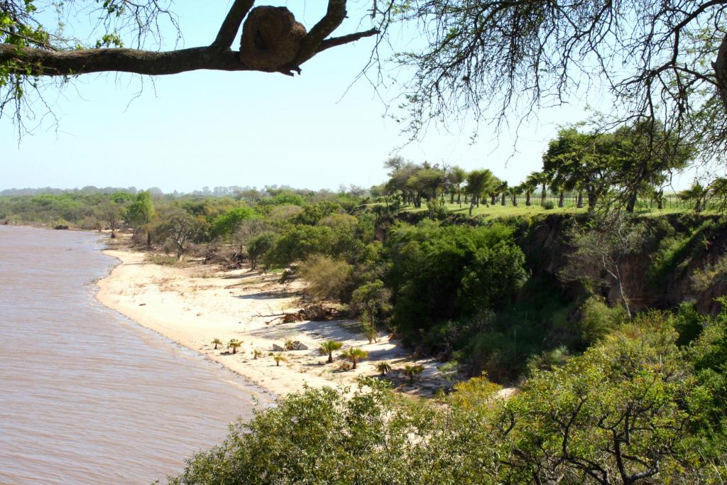 Foto de Martín Chico (Carmelo), Uruguay