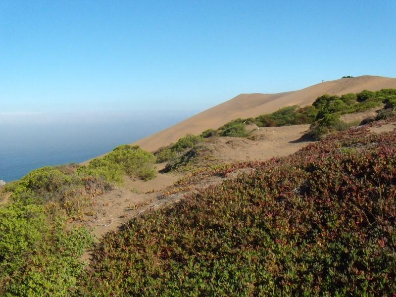 Foto de Concon, Chile