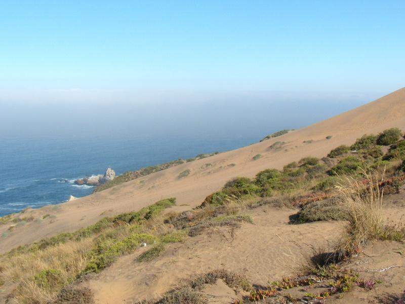 Foto de Concon, Chile