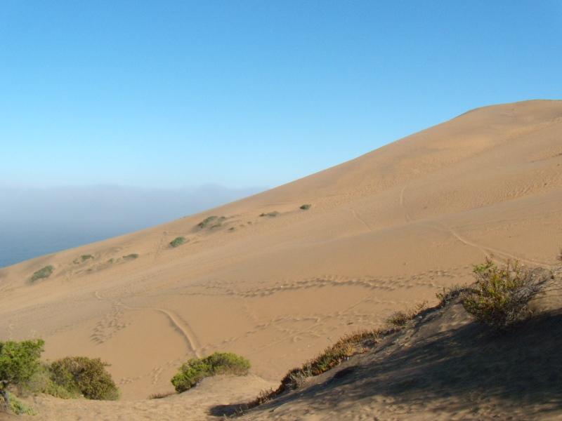 Foto de Concon, Chile