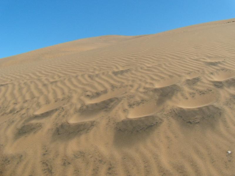 Foto de Concon, Chile