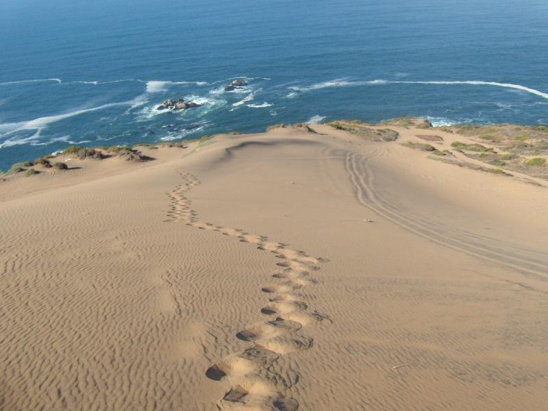 Foto de Concon, Chile