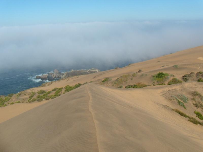 Foto de Concon, Chile