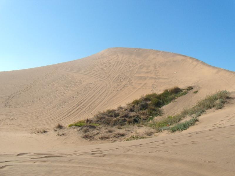 Foto de Concon, Chile