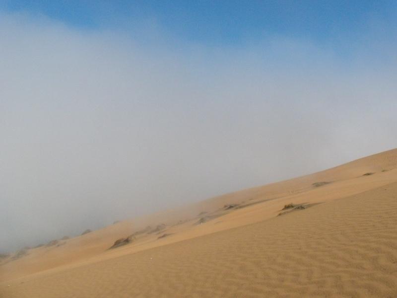 Foto de Concon, Chile
