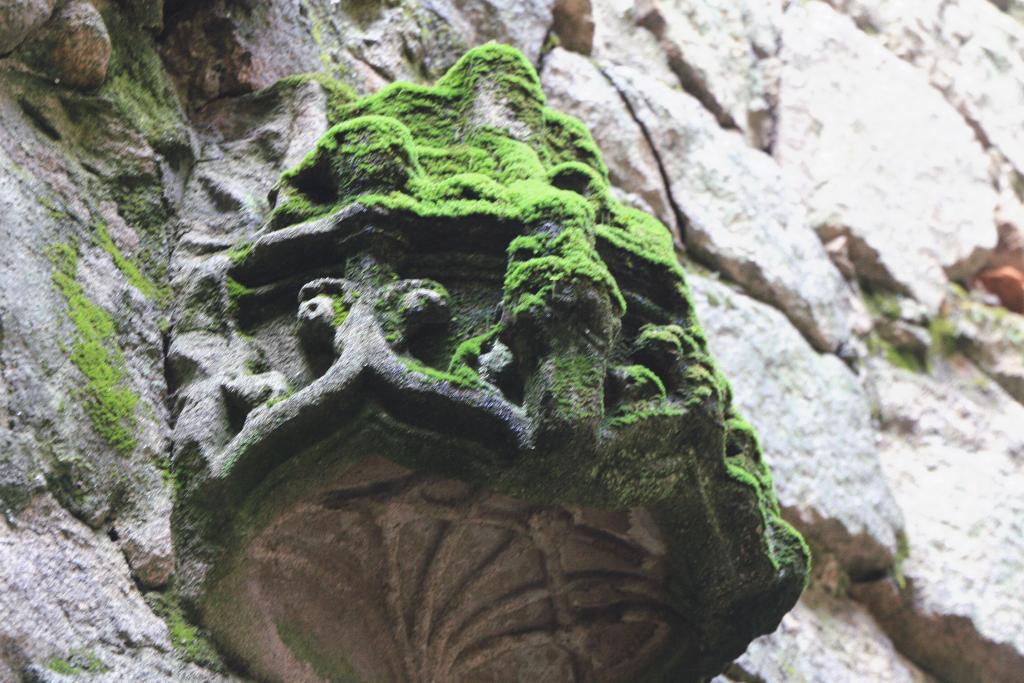 Foto de Pontevedra (Galicia), España