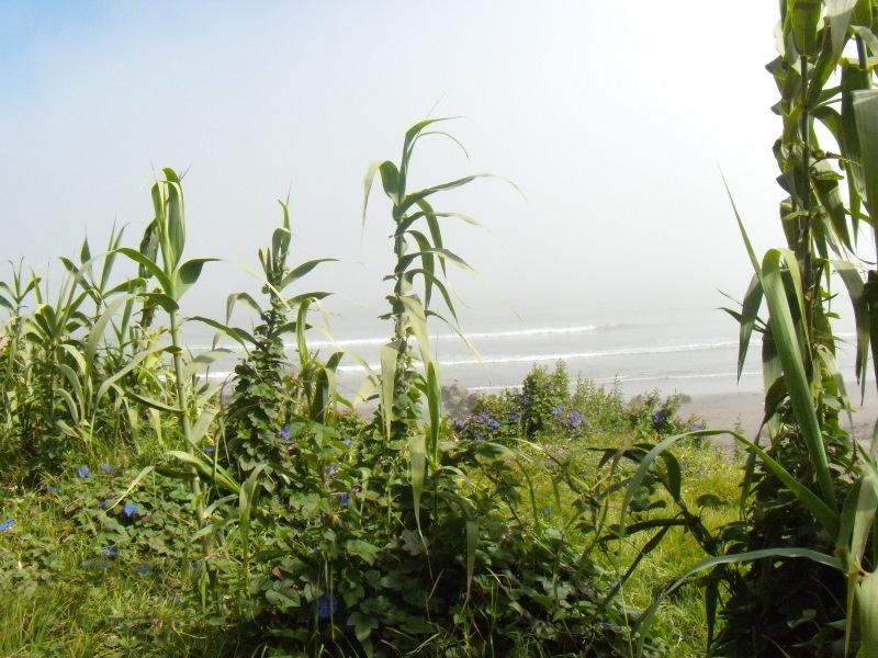 Foto de Concon, Chile