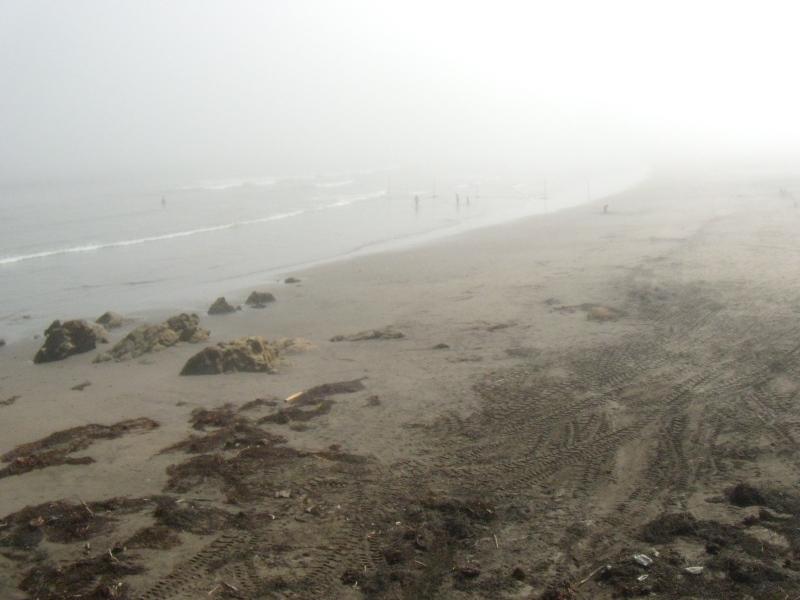 Foto de Concon, Chile