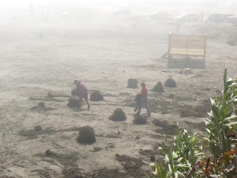 Foto de Concon, Chile