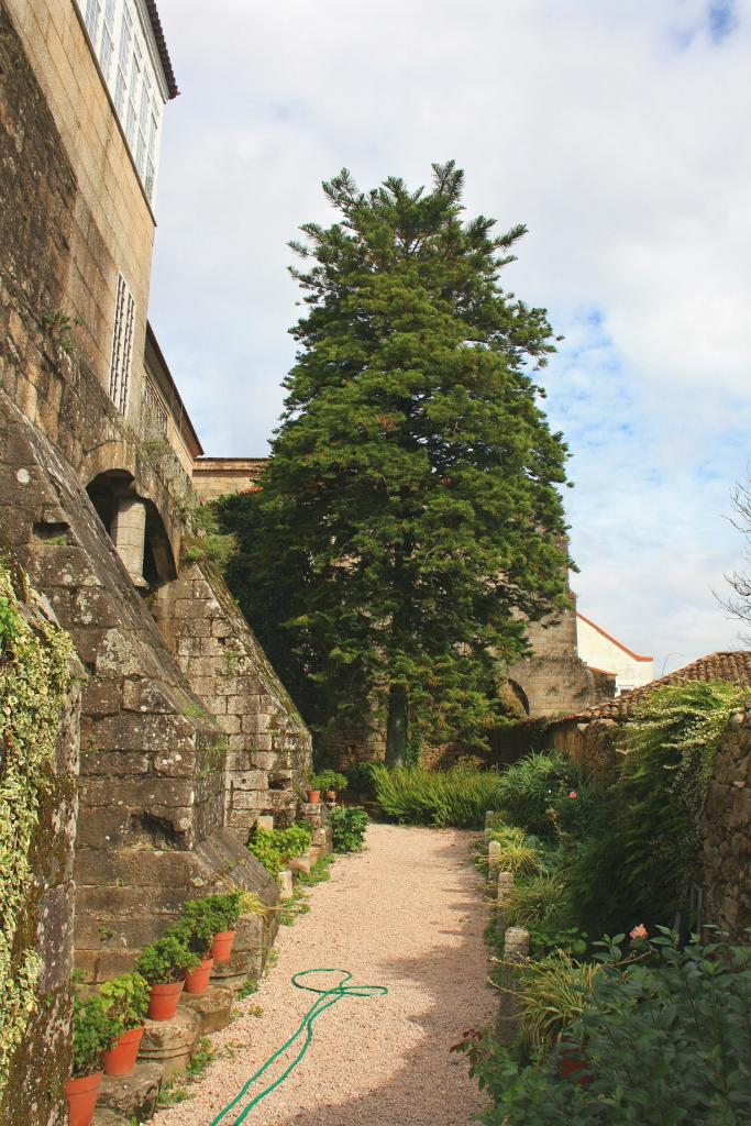 Foto de Tui (Pontevedra), España