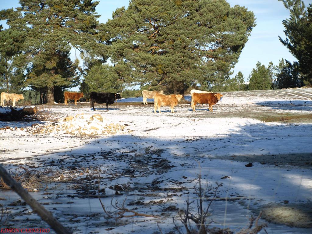 Foto de Muriel Viejo (Soria), España