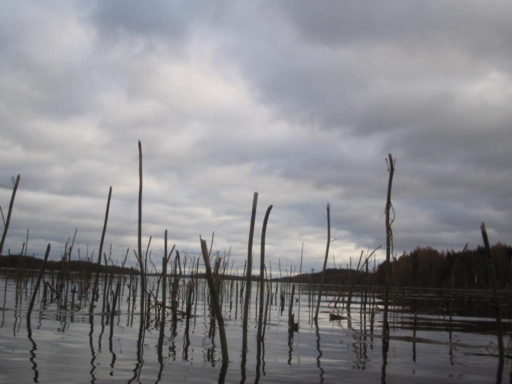 Foto de Haukivuori, Finlandia