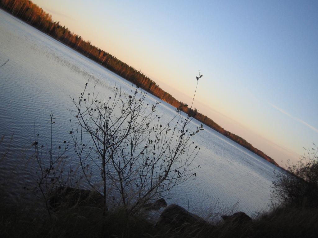 Foto de Haukivuori, Finlandia