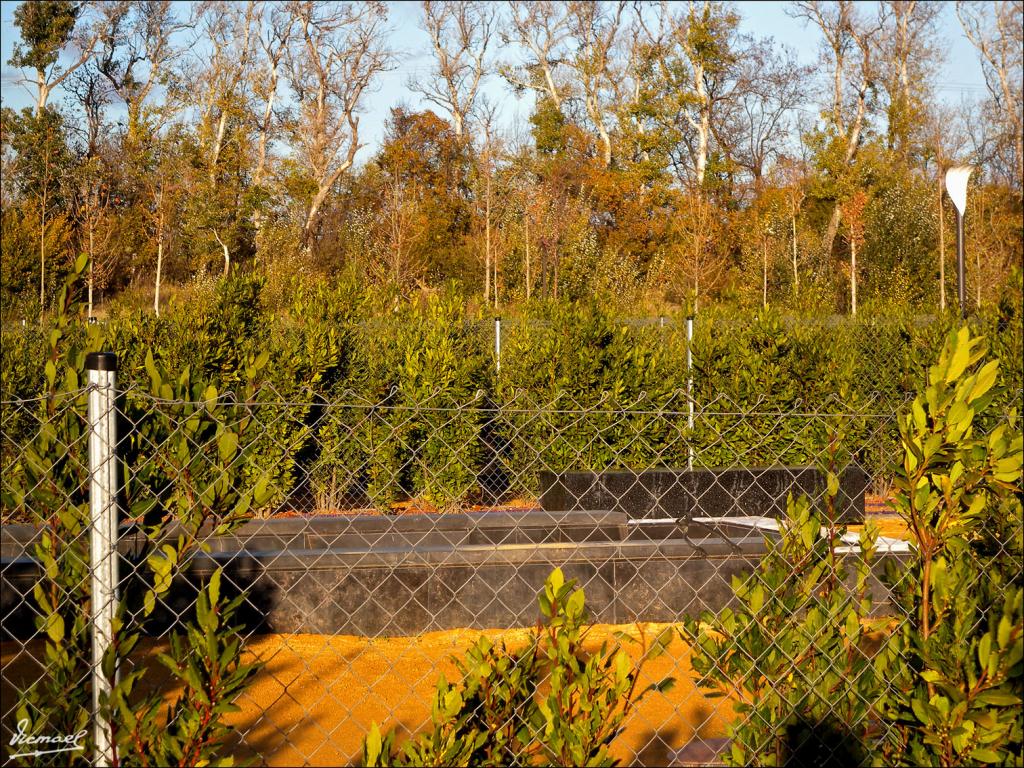 Foto de Zaragoza (Aragón), España