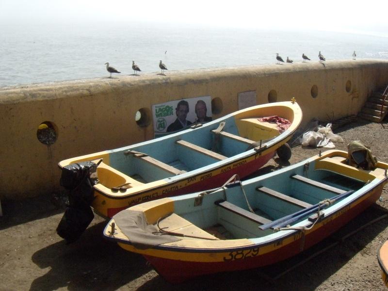 Foto de Concon, Chile