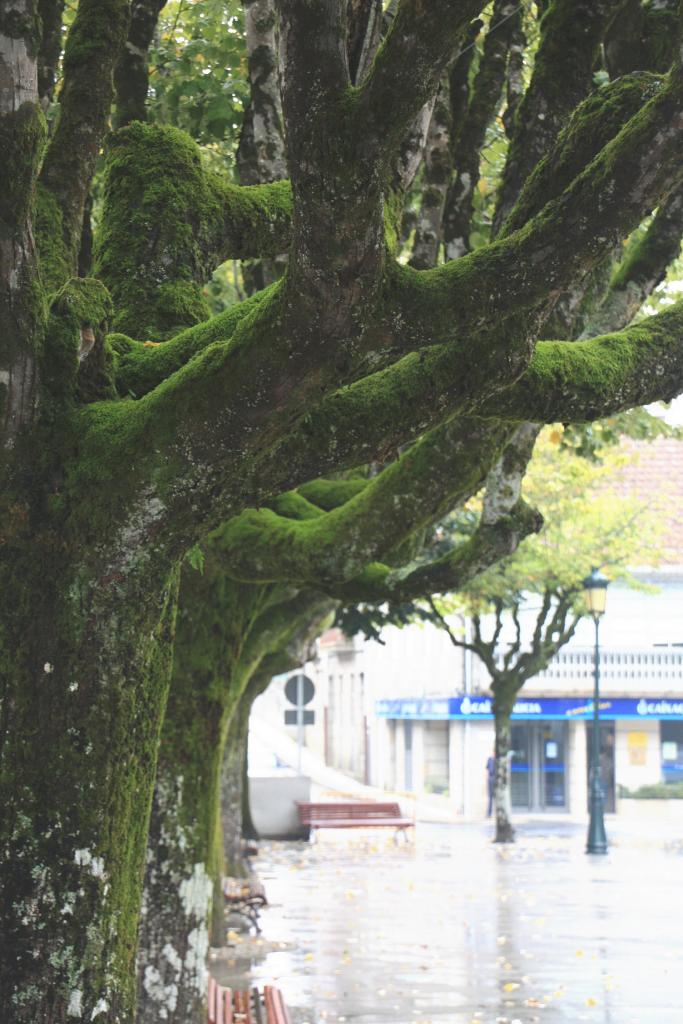 Foto de Mondariz (Pontevedra), España