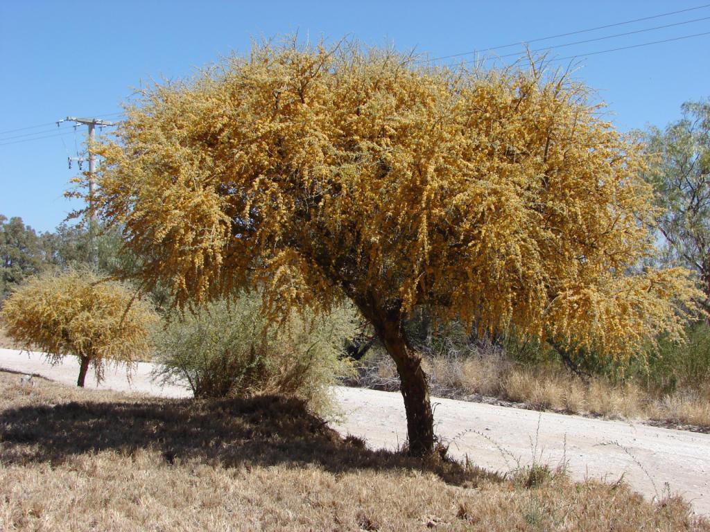 Foto de Cruz del Eje, Argentina