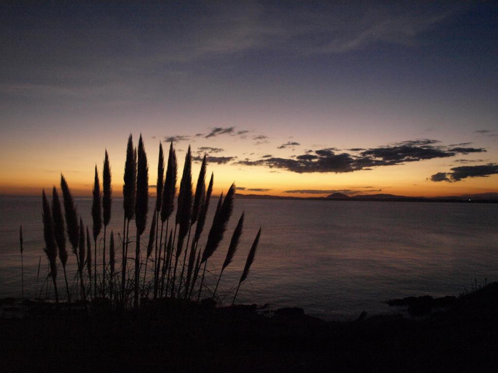 Foto de Punta Ballena, Uruguay