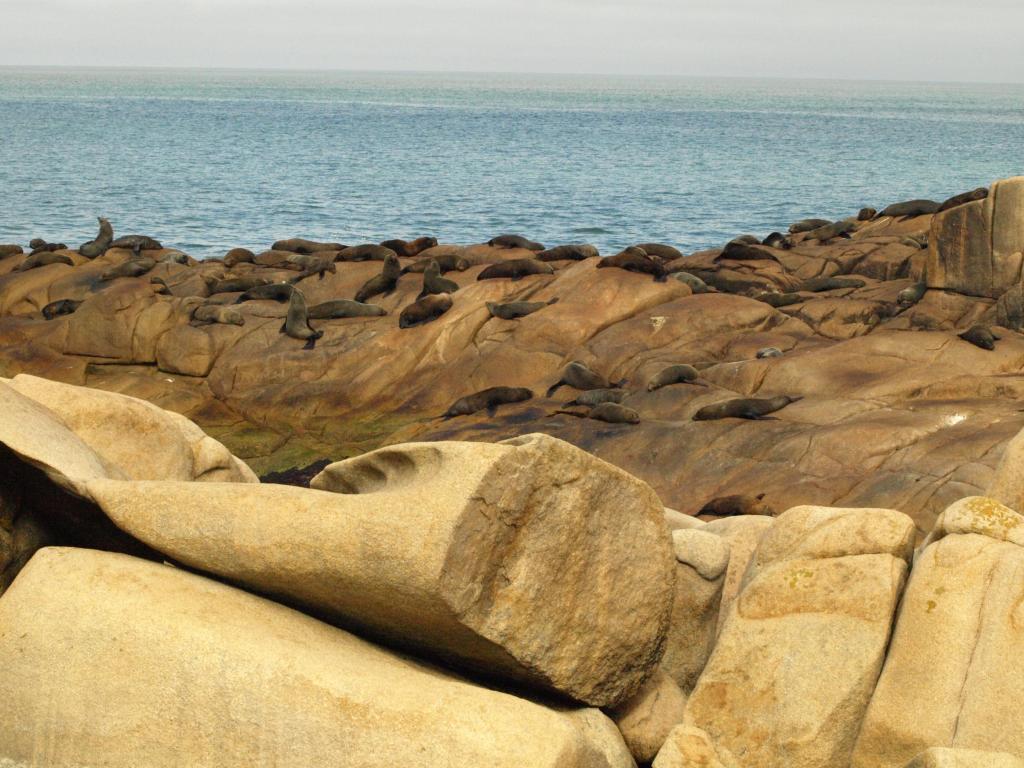 Foto de Cabo Polonio, Uruguay