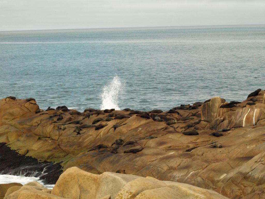 Foto de Cabo Polonio, Uruguay