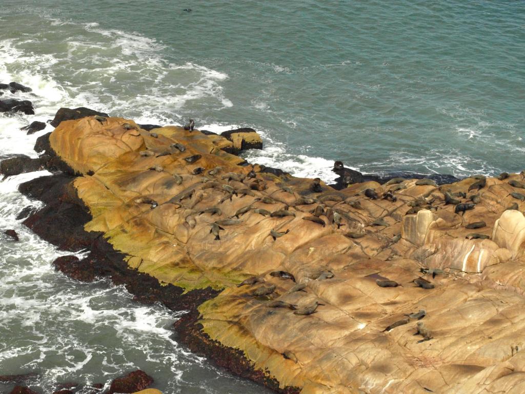 Foto de Cabo Polonio, Uruguay