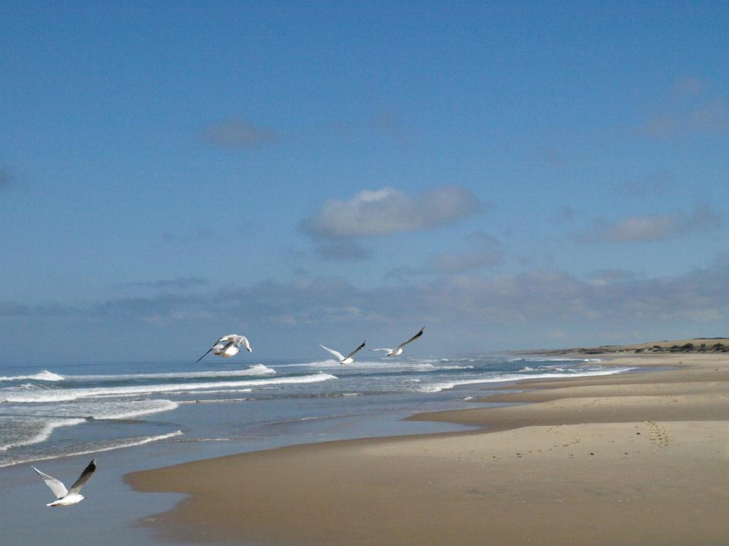 Foto de Punta Diablo, Uruguay