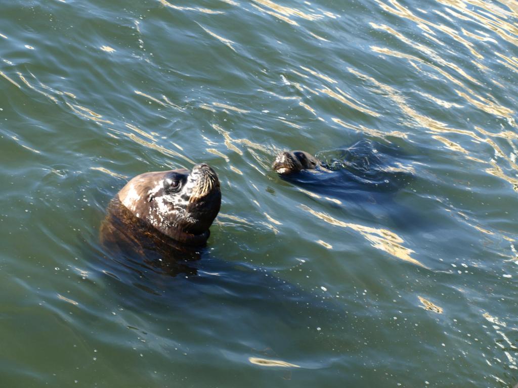 Foto de Punta del Este, Uruguay