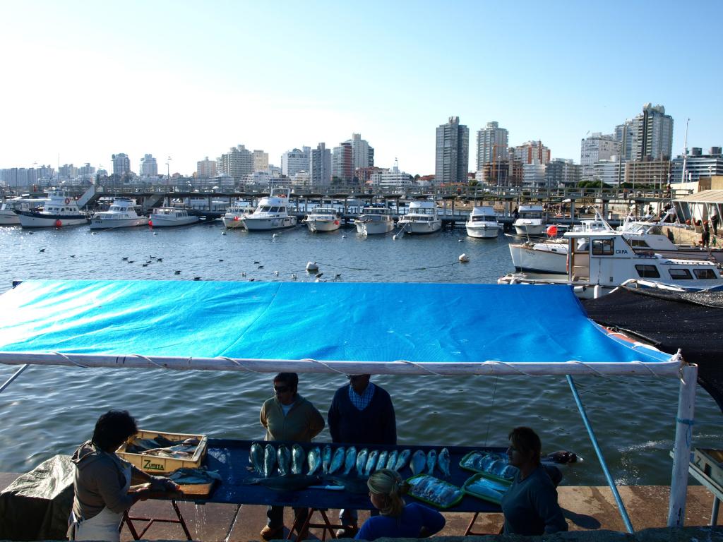 Foto de Punta del Este, Uruguay