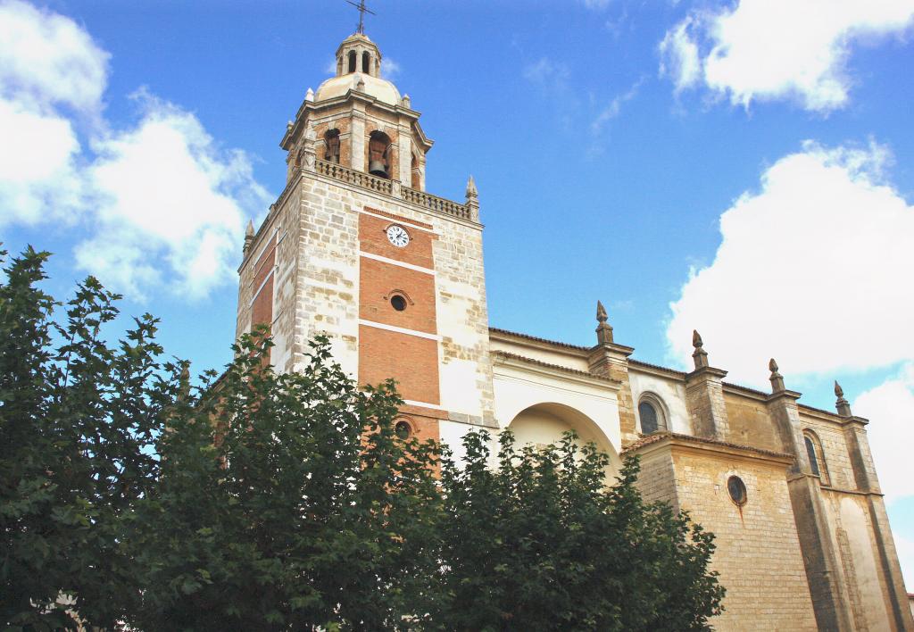 Foto de Carrión de los Condes (Palencia), España