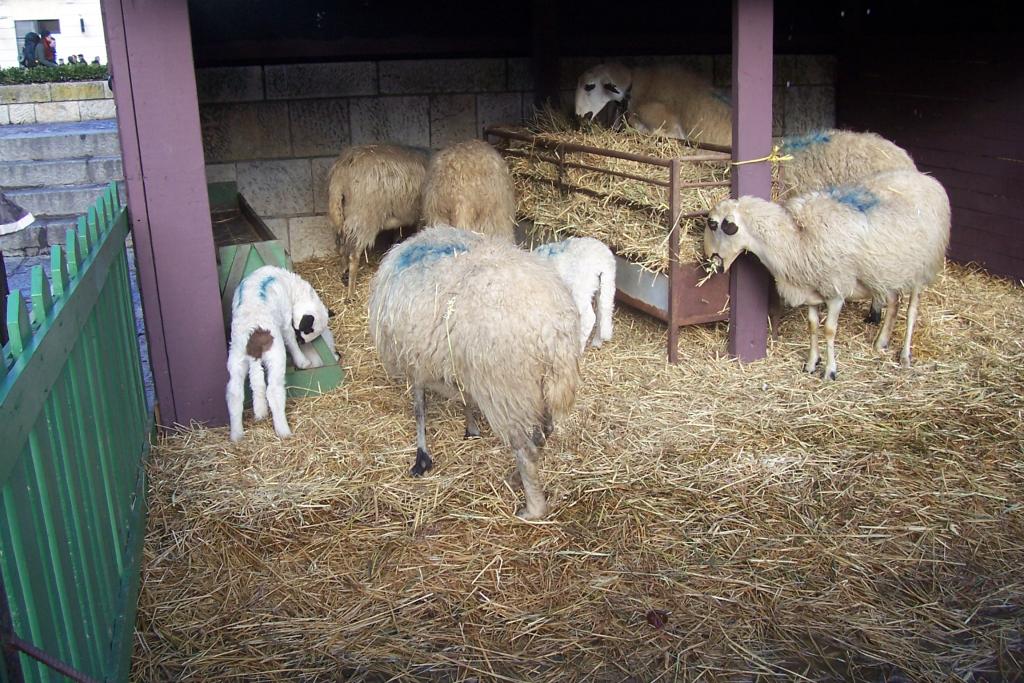 Foto de León (Castilla y León), España