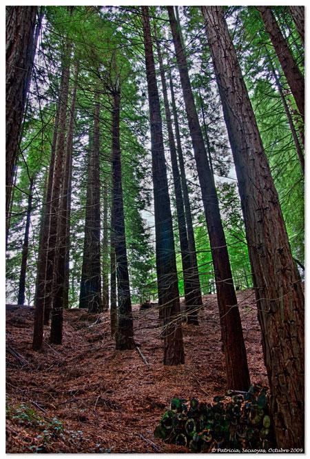 Foto de Cabezón de la Sal (Cantabria), España