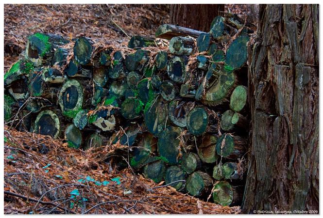 Foto de Cabezón de la Sal (Cantabria), España