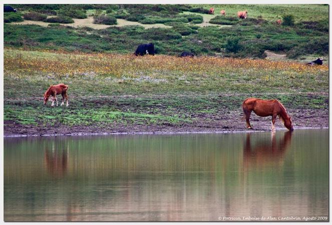 Foto de Bárcena de Pie de Concha (Cantabria), España