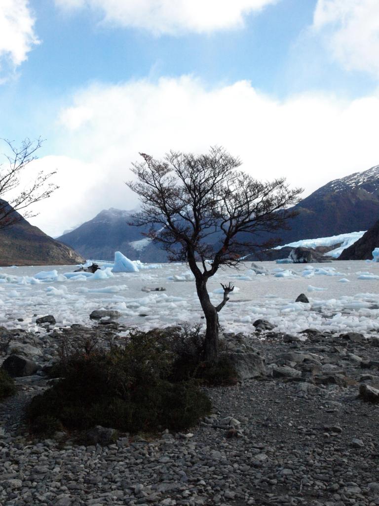 Foto de Patagonia, Argentina