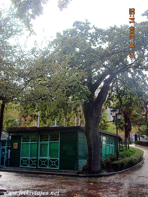 Foto de Oviedo (Asturias), España