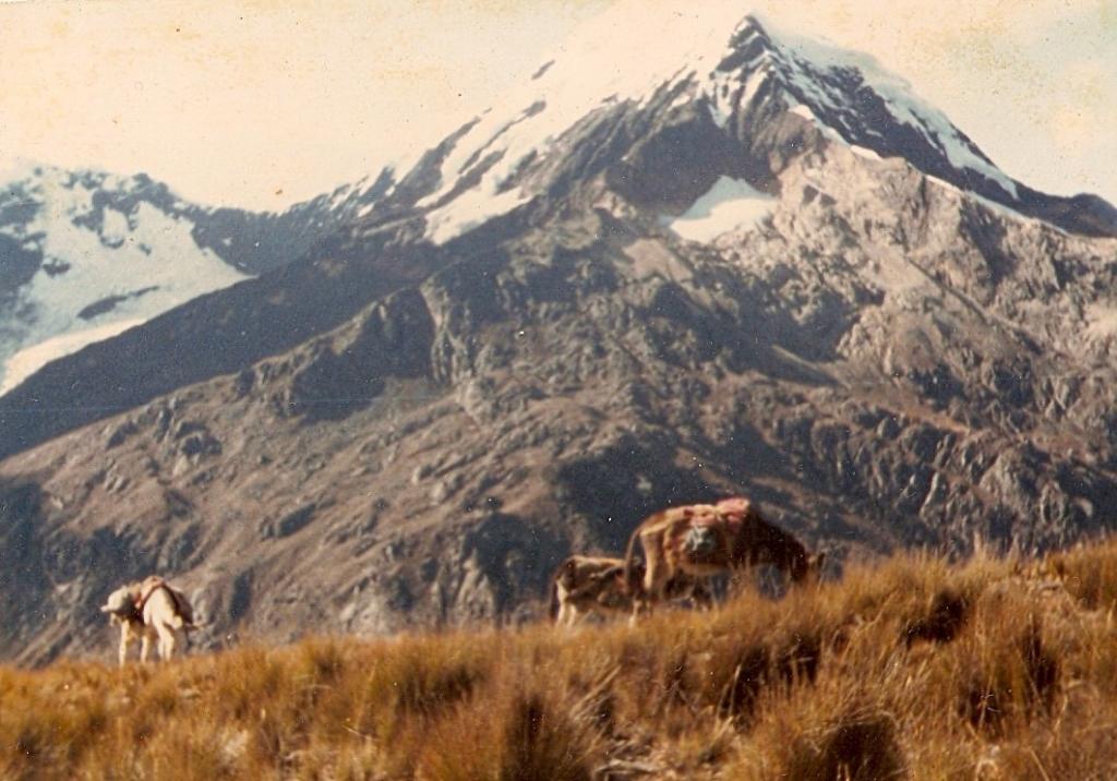 Foto de Nevado del Champara, Perú
