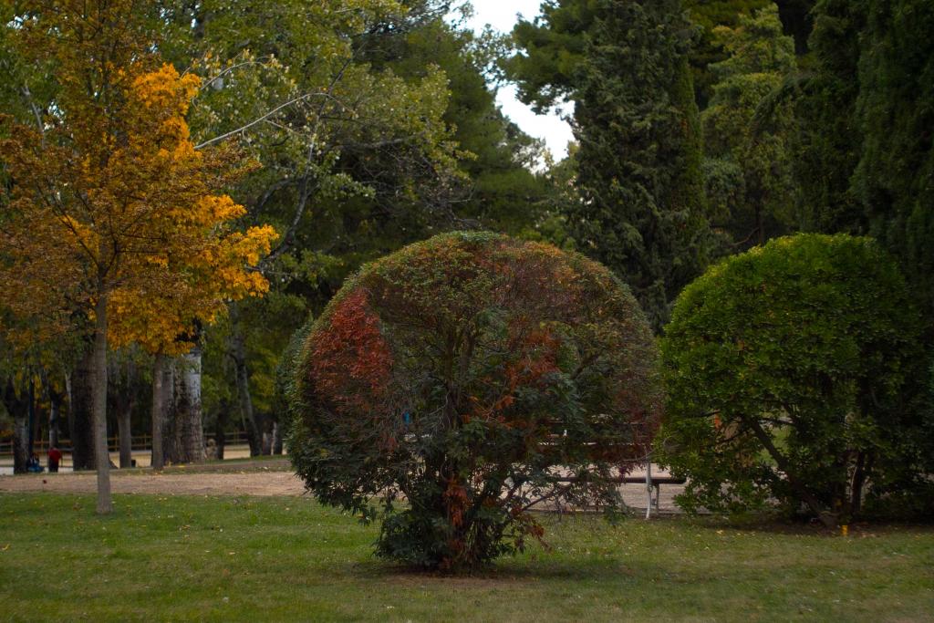 Foto de Zaragoza (Aragón), España