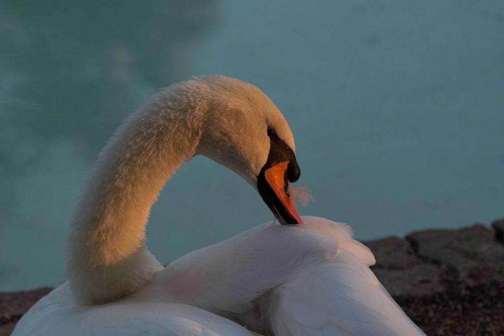 Foto de Zaragoza (Aragón), España