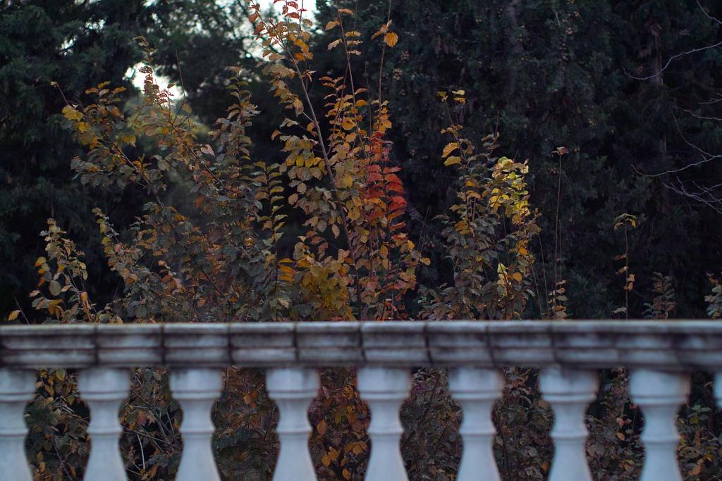 Foto de Zaragoza (Aragón), España