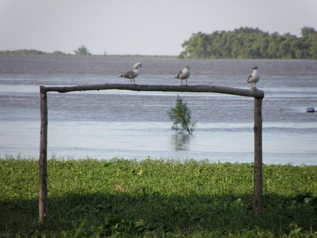 Foto de Vuelta de Obligado (Buenos Aires), Argentina