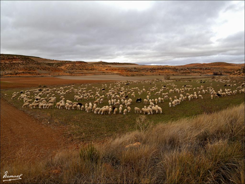 Foto de Torrehermosa (Zaragoza), España
