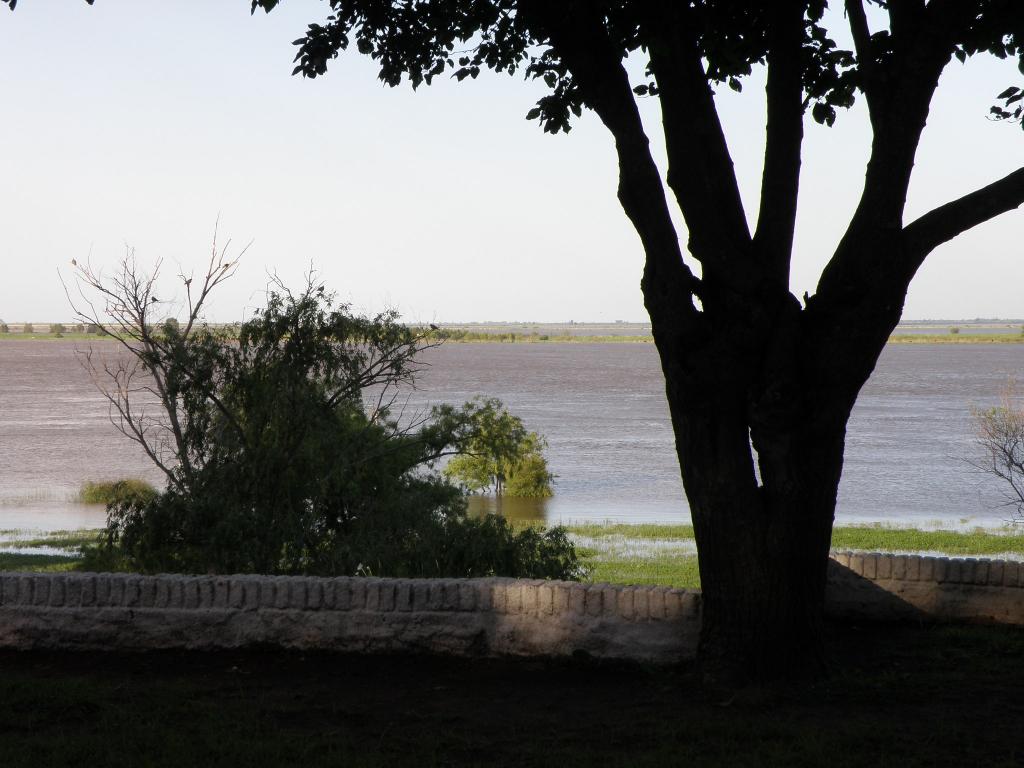 Foto de Vuelta de Obligado (Buenos Aires), Argentina