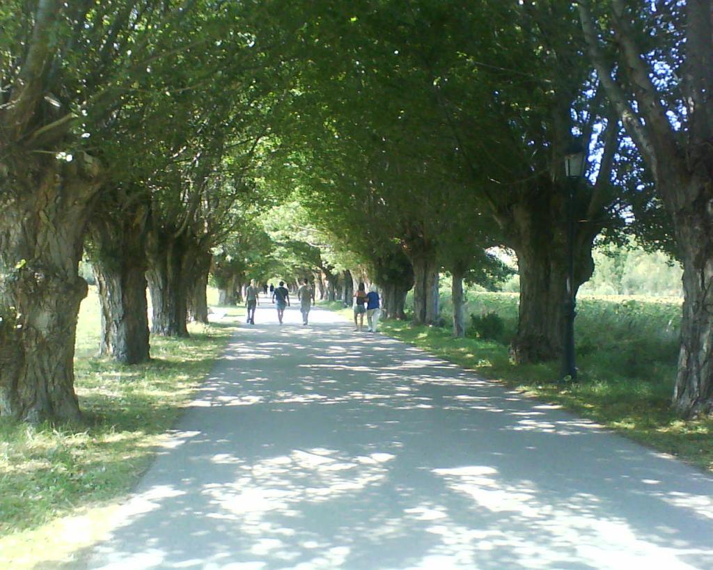 Foto de Baides (Guadalajara), España