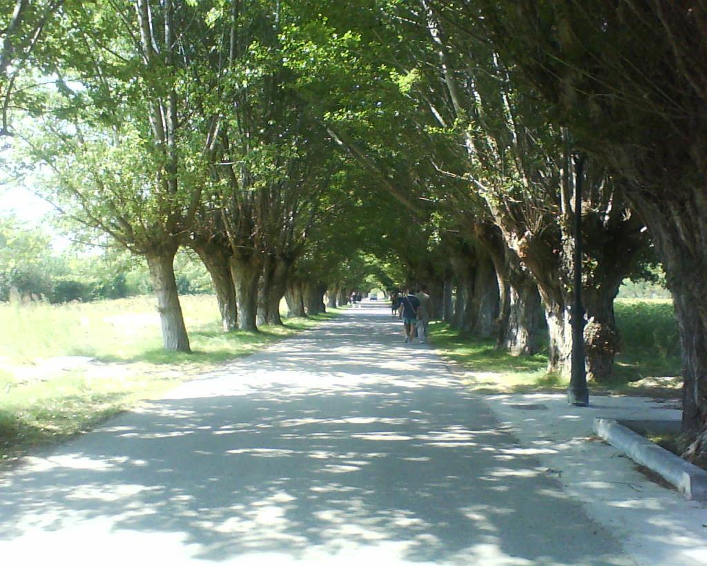 Foto de Baides (Guadalajara), España