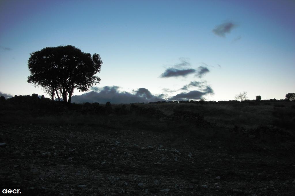 Foto de Las colmenillas en Valdemorillo de la Sierra, Cuenca