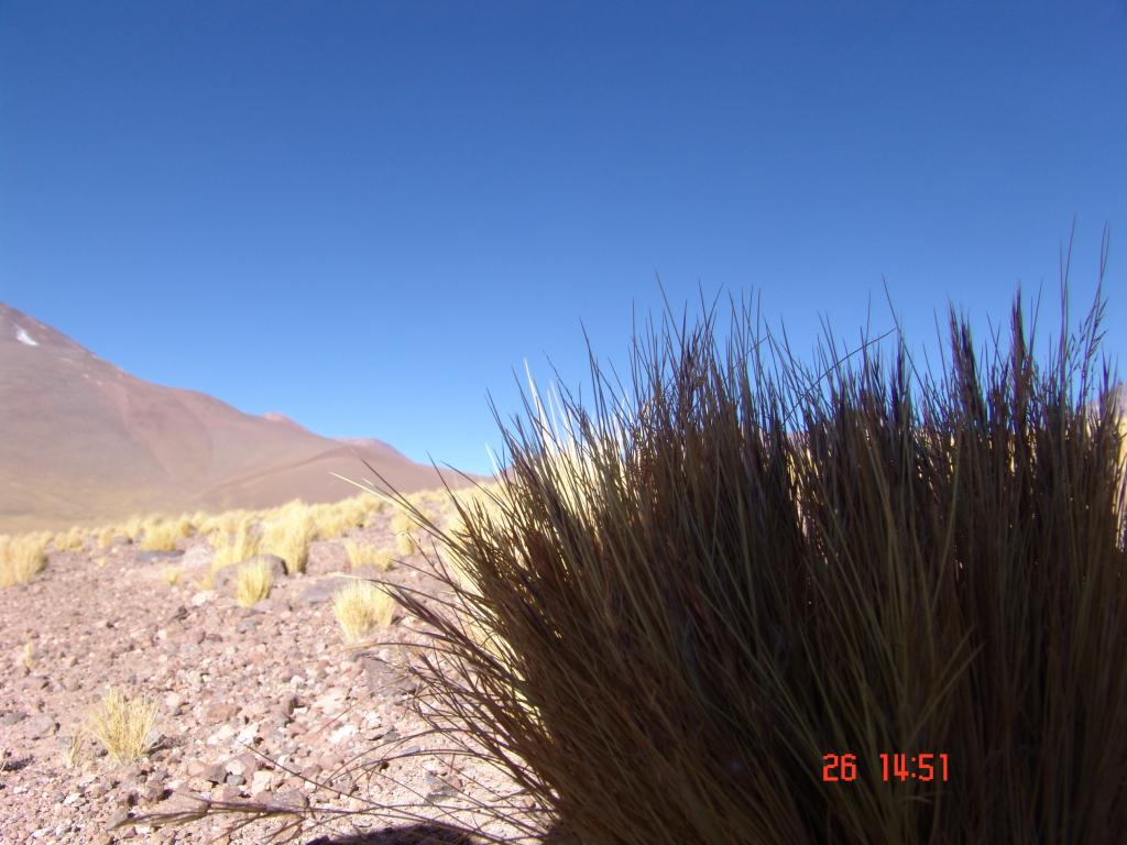 Foto de Antofagasta, Chile