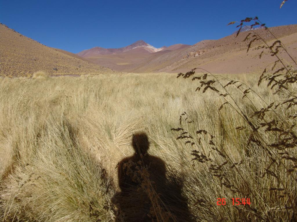 Foto de Antofagasta, Chile