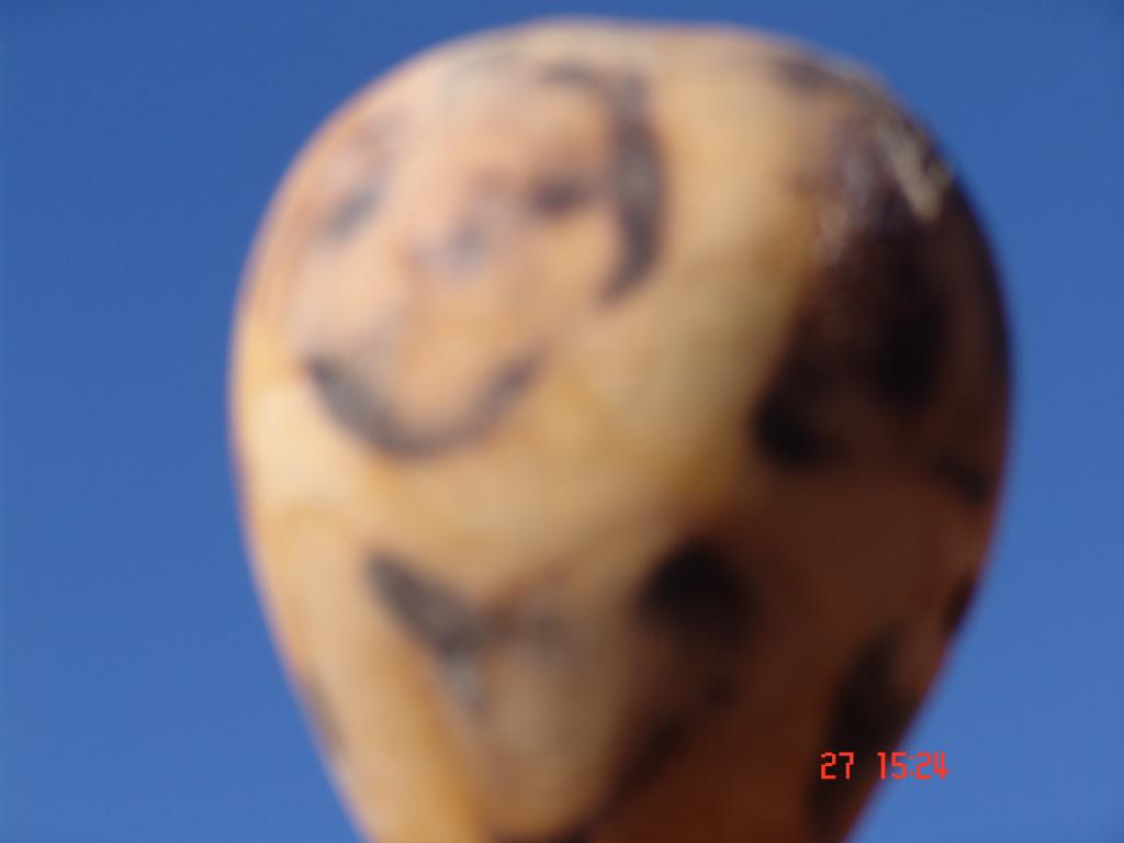 Foto de Antofagasta, Chile