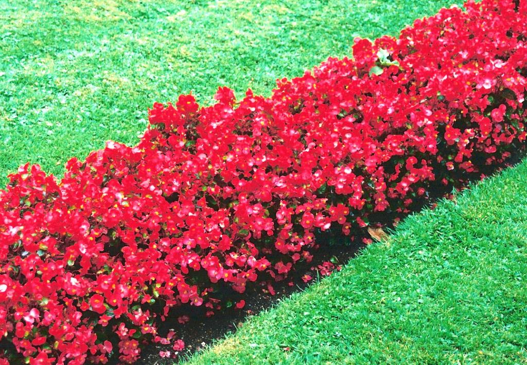 Foto de Salzburg, Austria