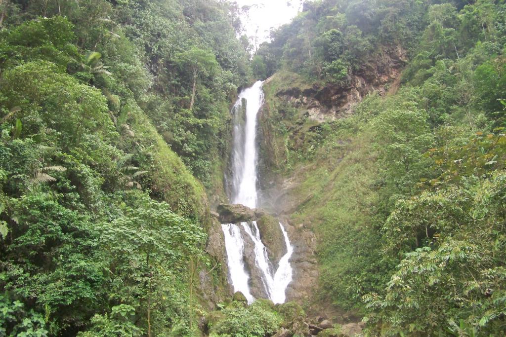 Foto de Santo Domingo de los Sachilas, Ecuador